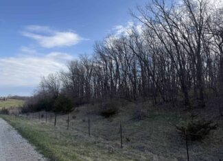 8 Acres of Timber – Great Hunting