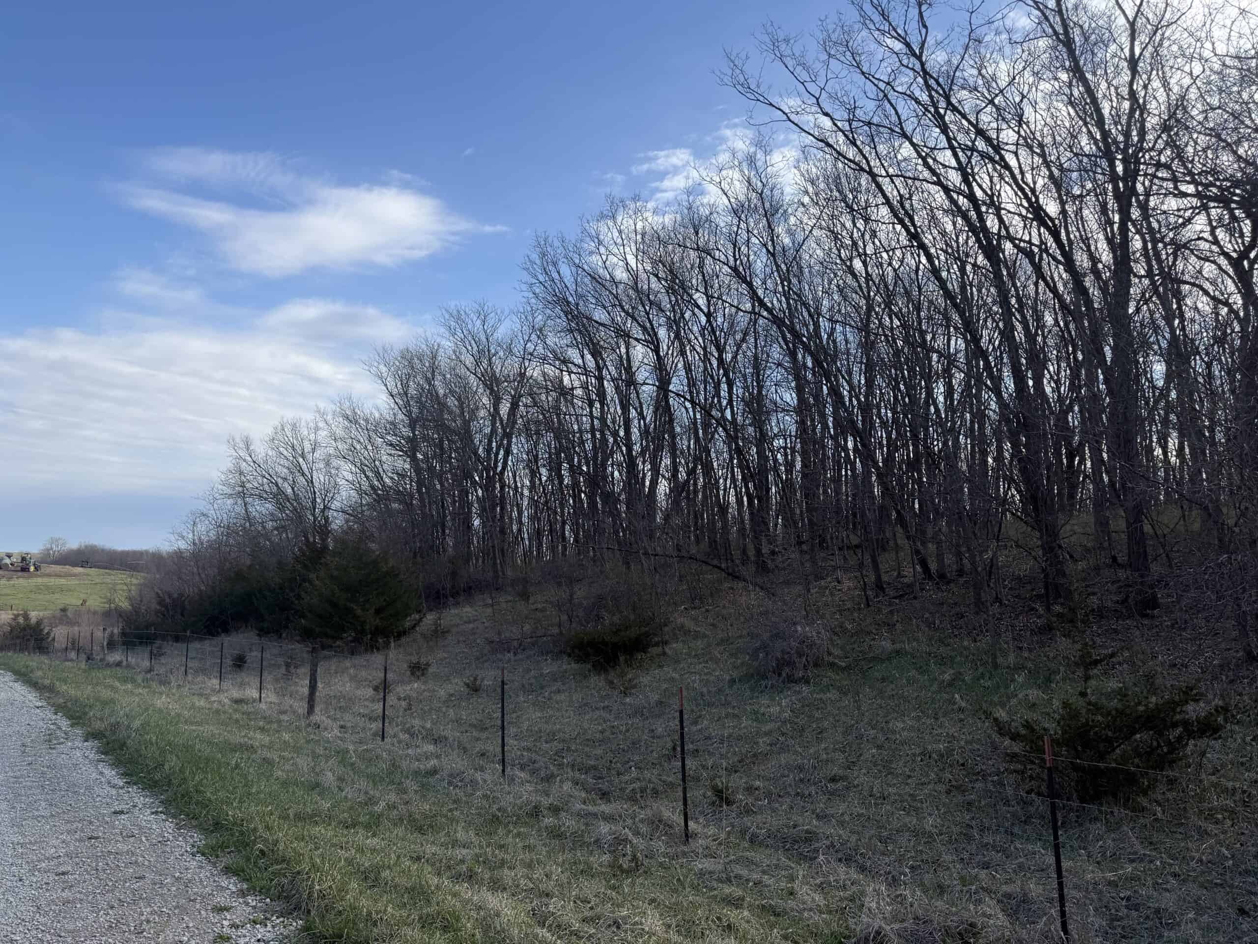 8 Acres of Timber – Great Hunting