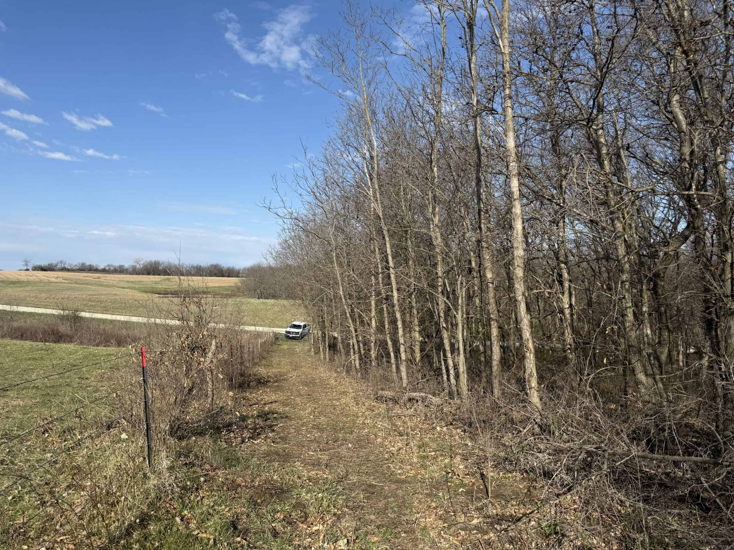 8 Acres of Timber – Great Hunting
