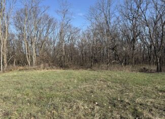 8 Acres of Timber – Great Hunting