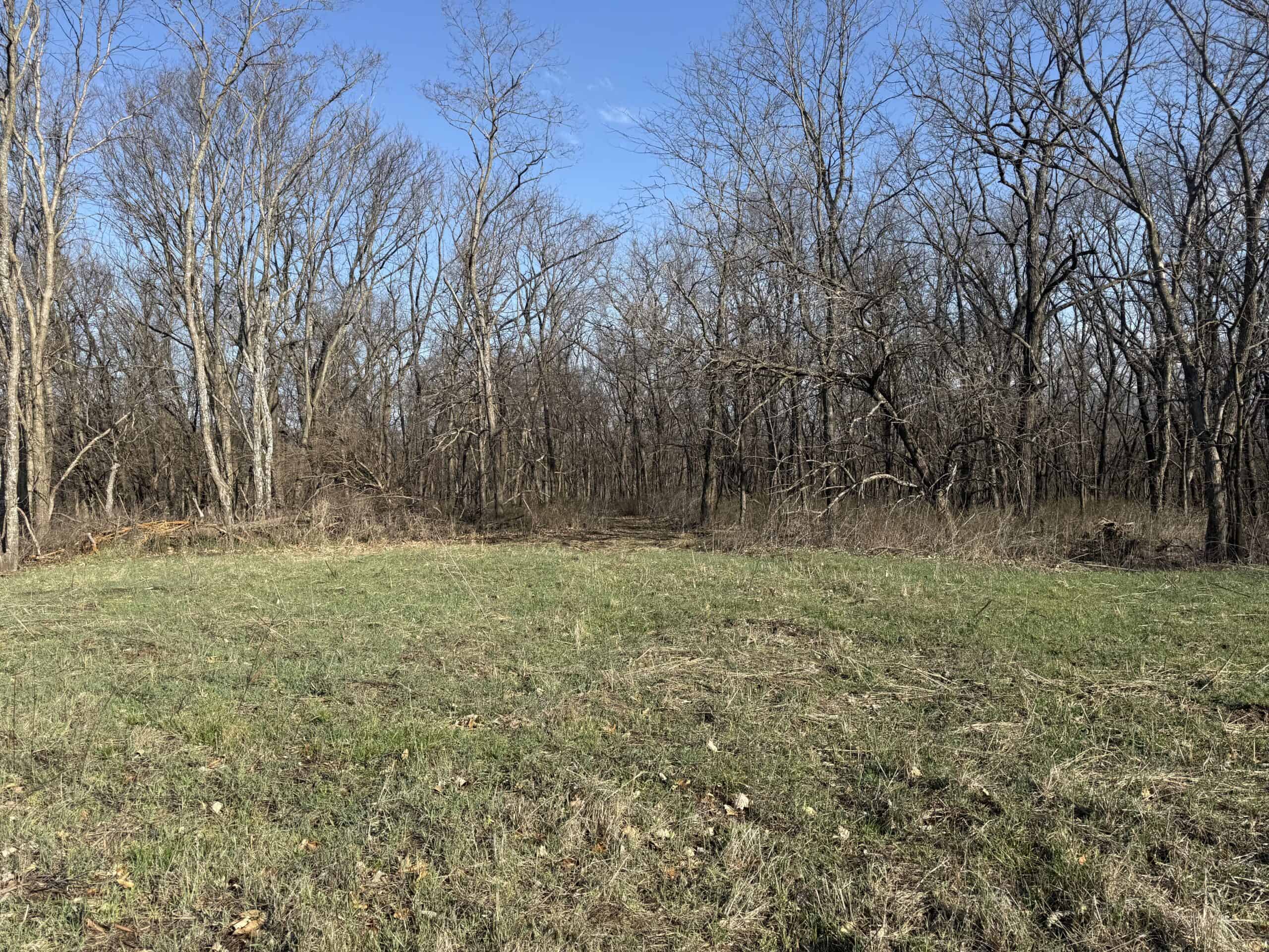 8 Acres of Timber – Great Hunting