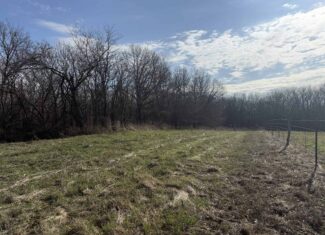 8 Acres of Timber – Great Hunting