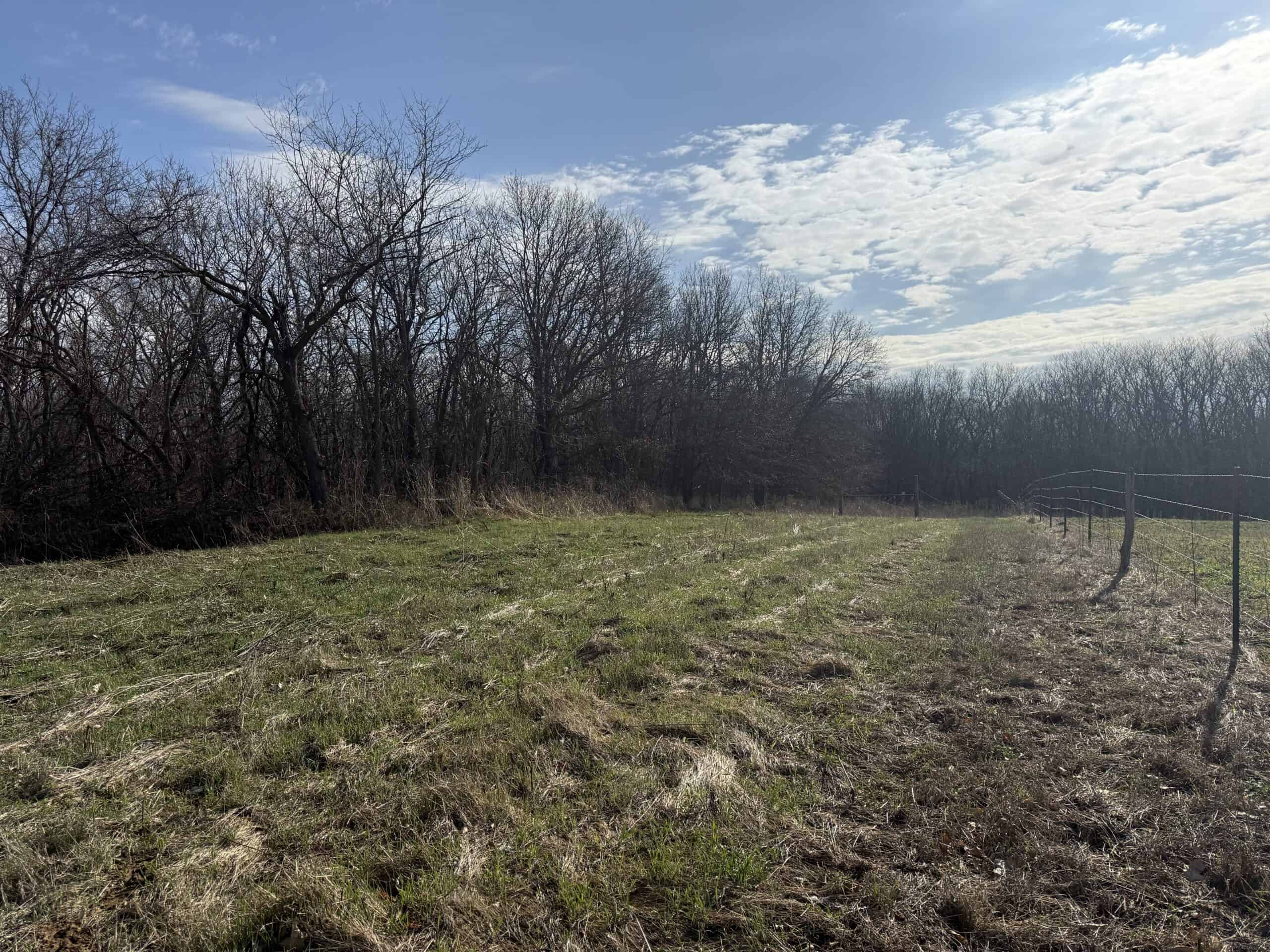 8 Acres of Timber – Great Hunting