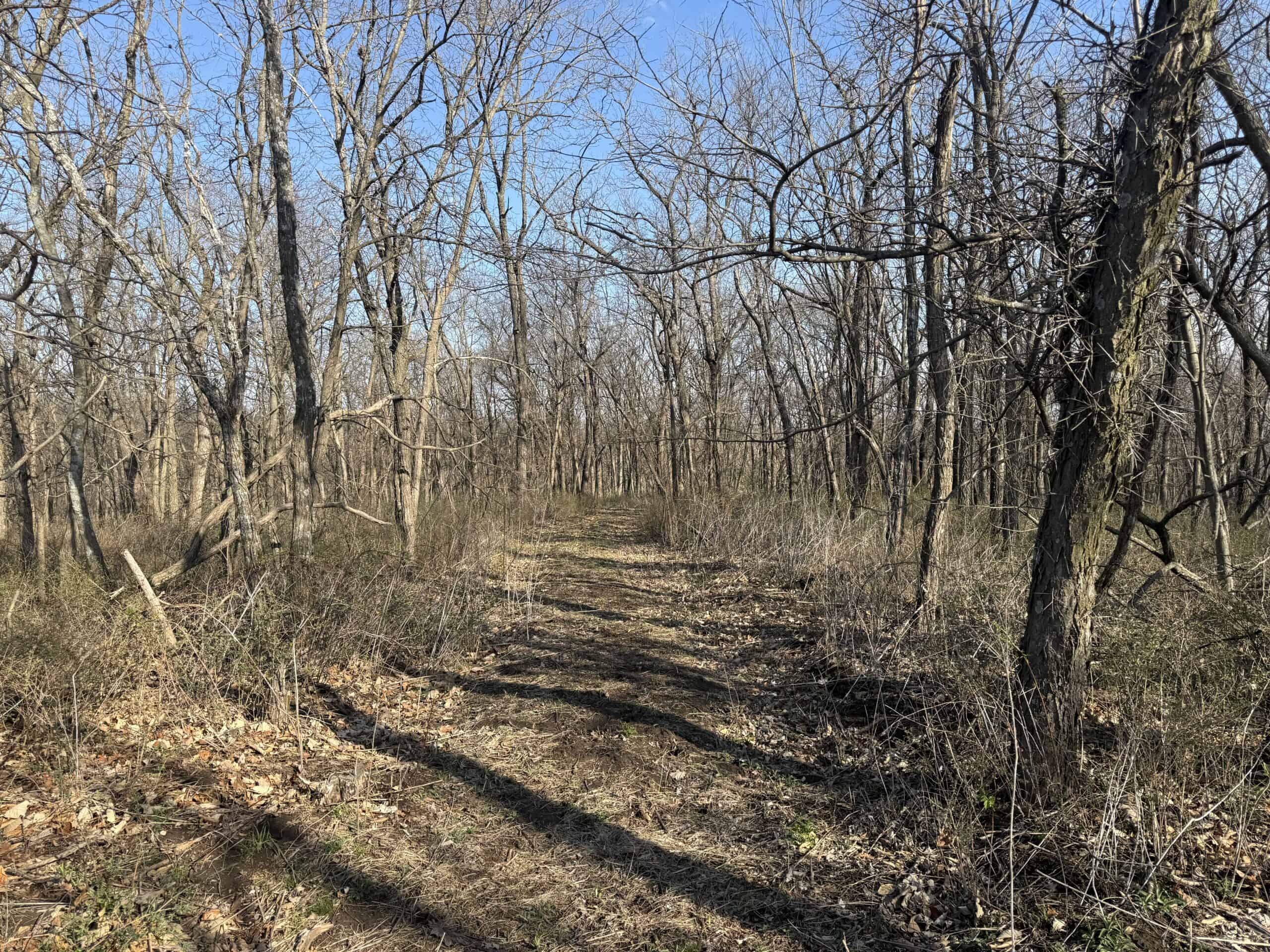 8 Acres of Timber – Great Hunting