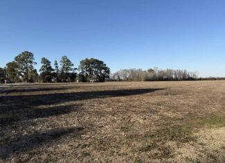 26-Acre Hunting & Farm Land Near Pungo Refuge on Hwy 45