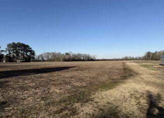 26-Acre Hunting & Farm Land Near Pungo Refuge on Hwy 45