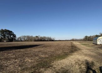 26-Acre Hunting & Farm Land Near Pungo Refuge on Hwy 45