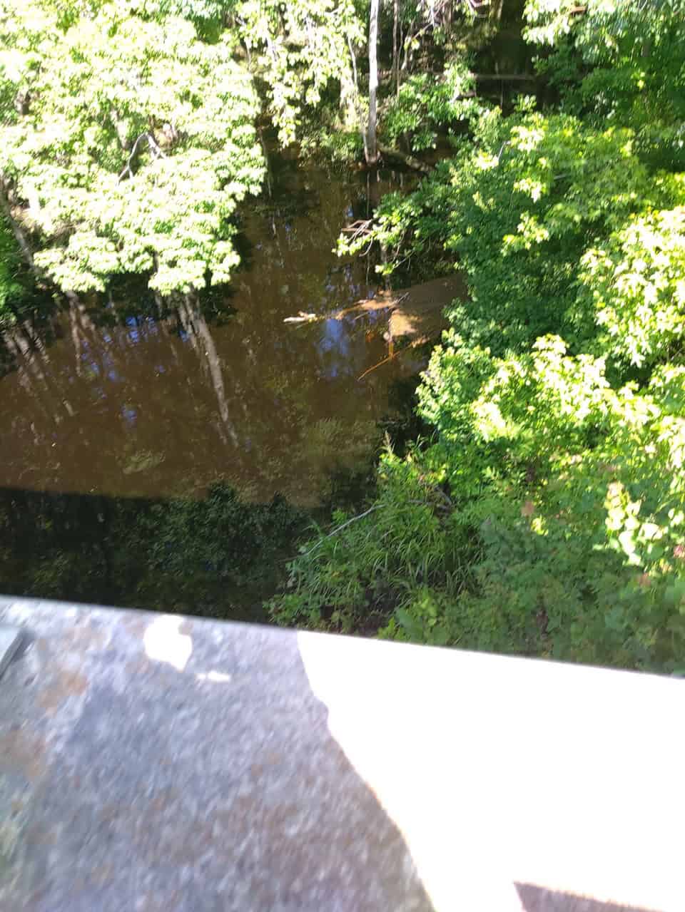 143-acre tract, positioned at the headwaters of the Ashepoo River
