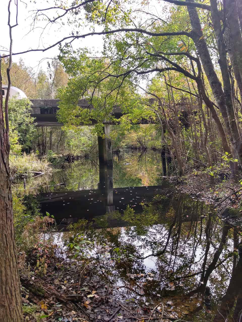 143-acre tract, positioned at the headwaters of the Ashepoo River
