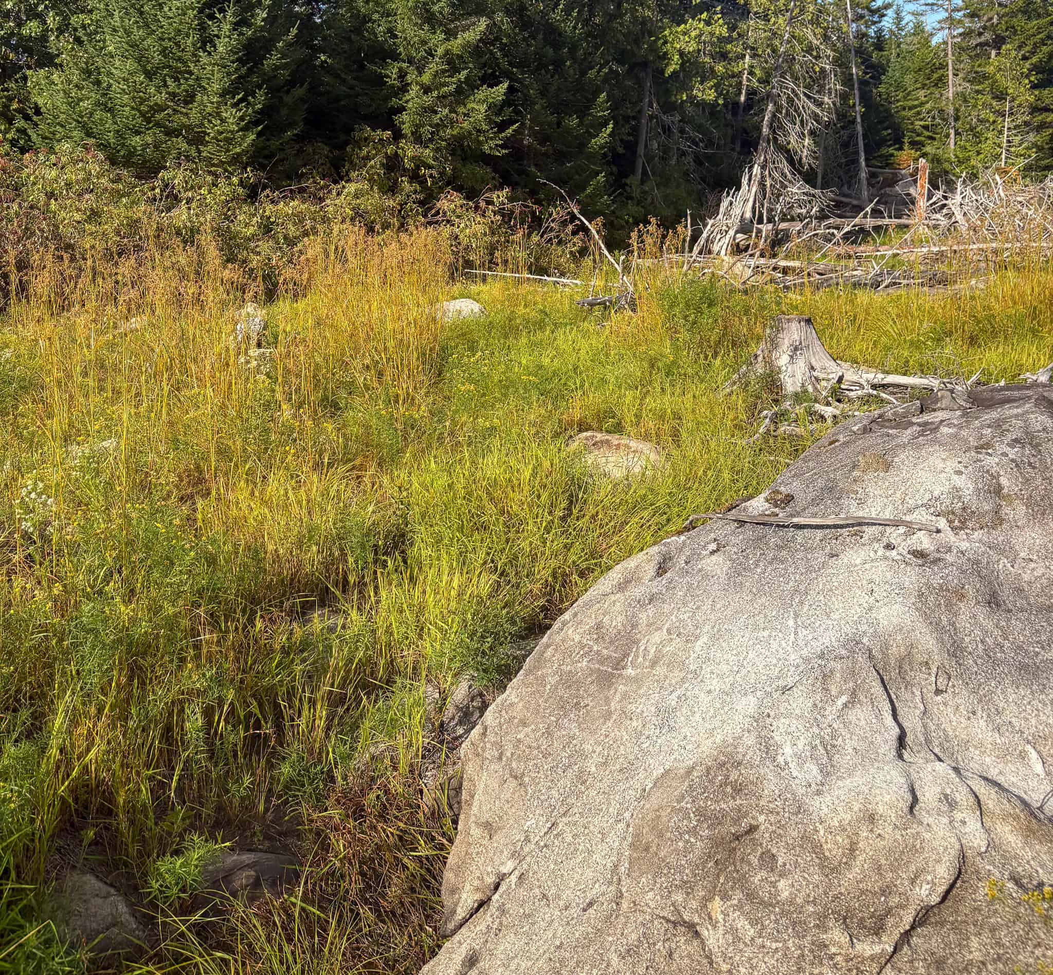 20 Acre Parcel with Brook Frontage – Oakfield, Maine