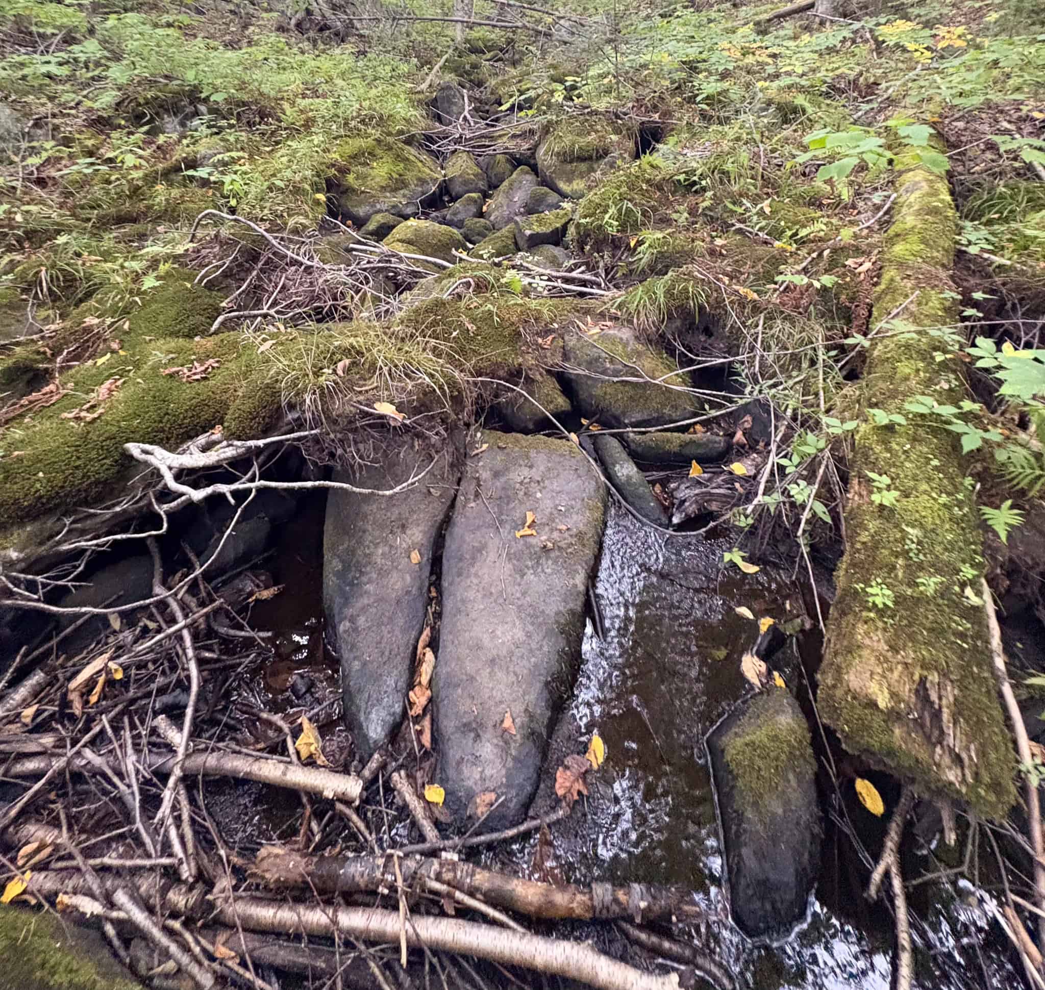 20 Acre Parcel with Brook Frontage – Oakfield, Maine