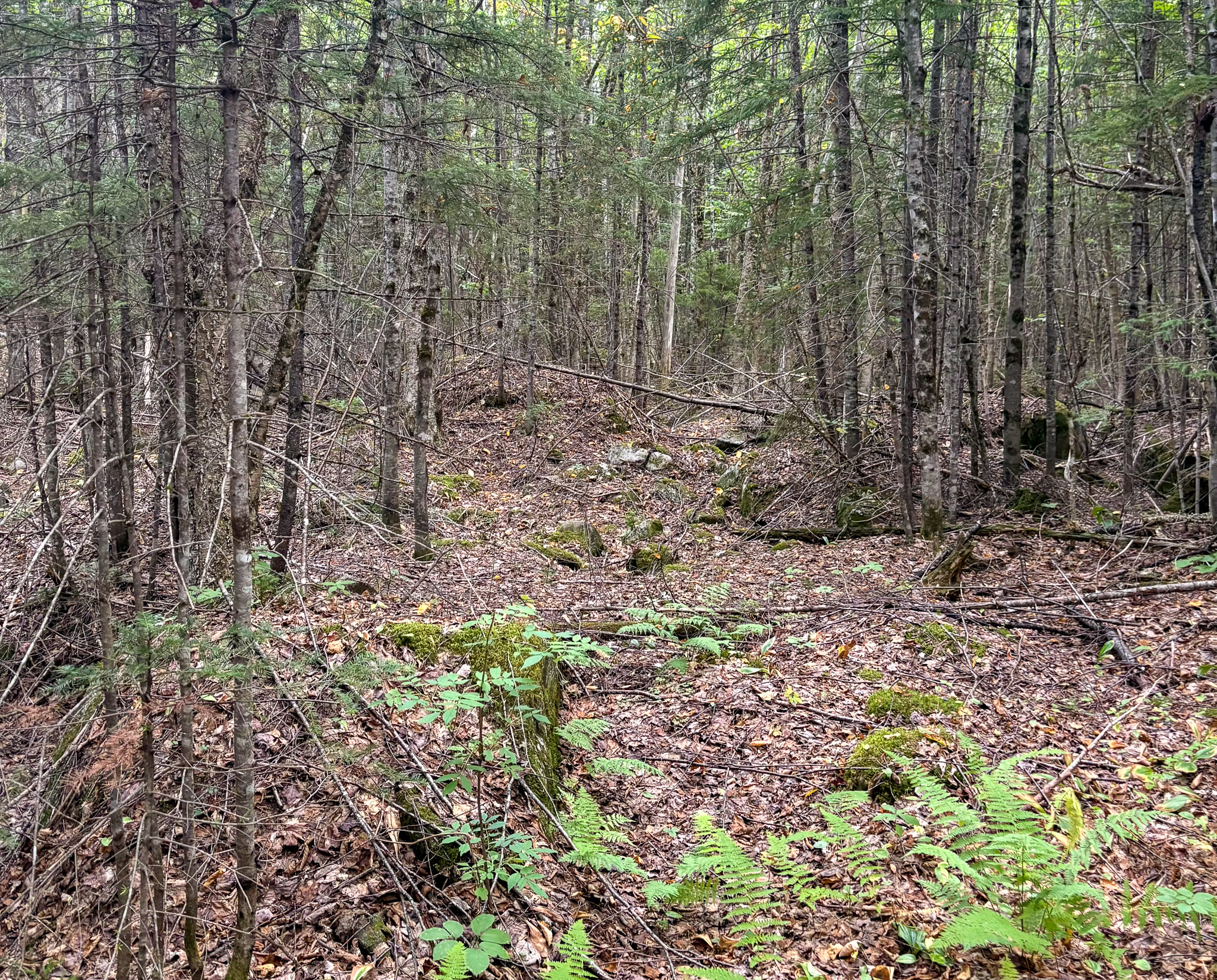 20 Acre Parcel with Brook Frontage – Oakfield, Maine