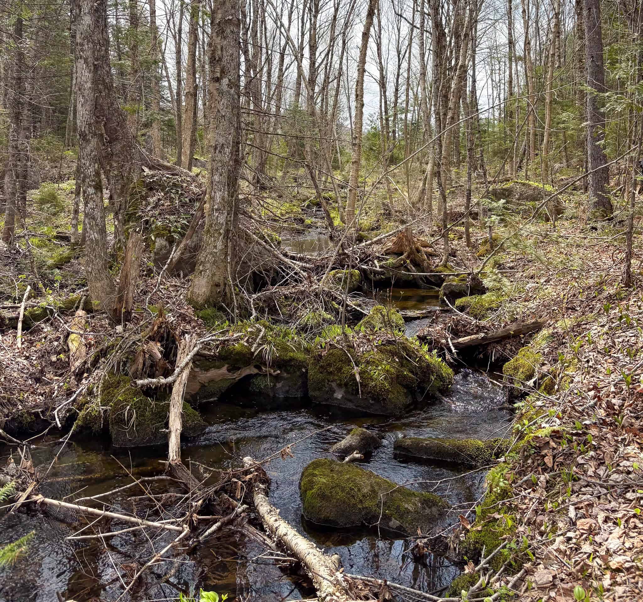 20 Acre Parcel with Brook Frontage – Oakfield, Maine