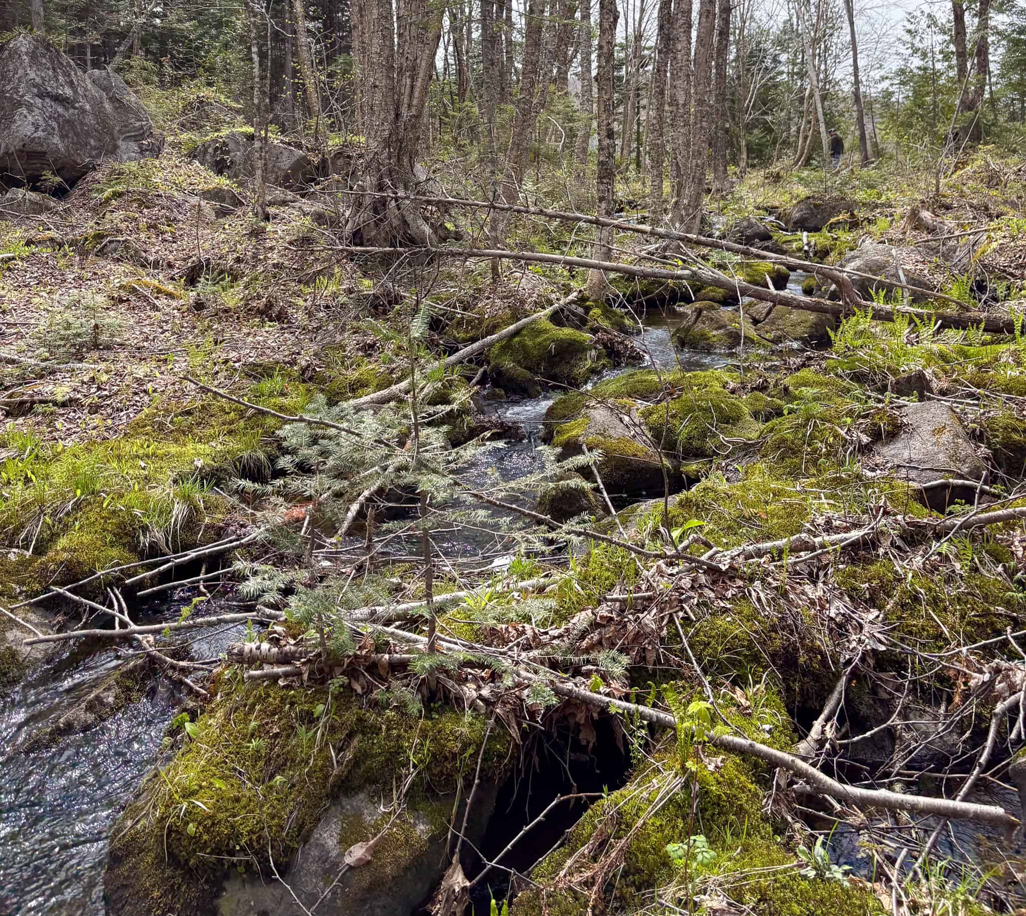 20 Acre Parcel with Brook Frontage – Oakfield, Maine