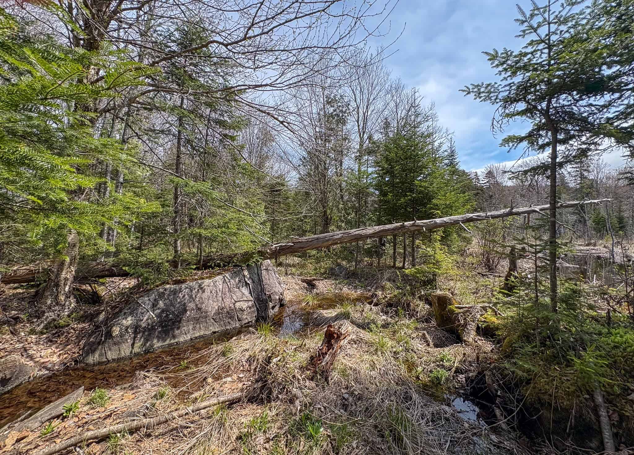 20 Acre Parcel with Brook Frontage – Oakfield, Maine
