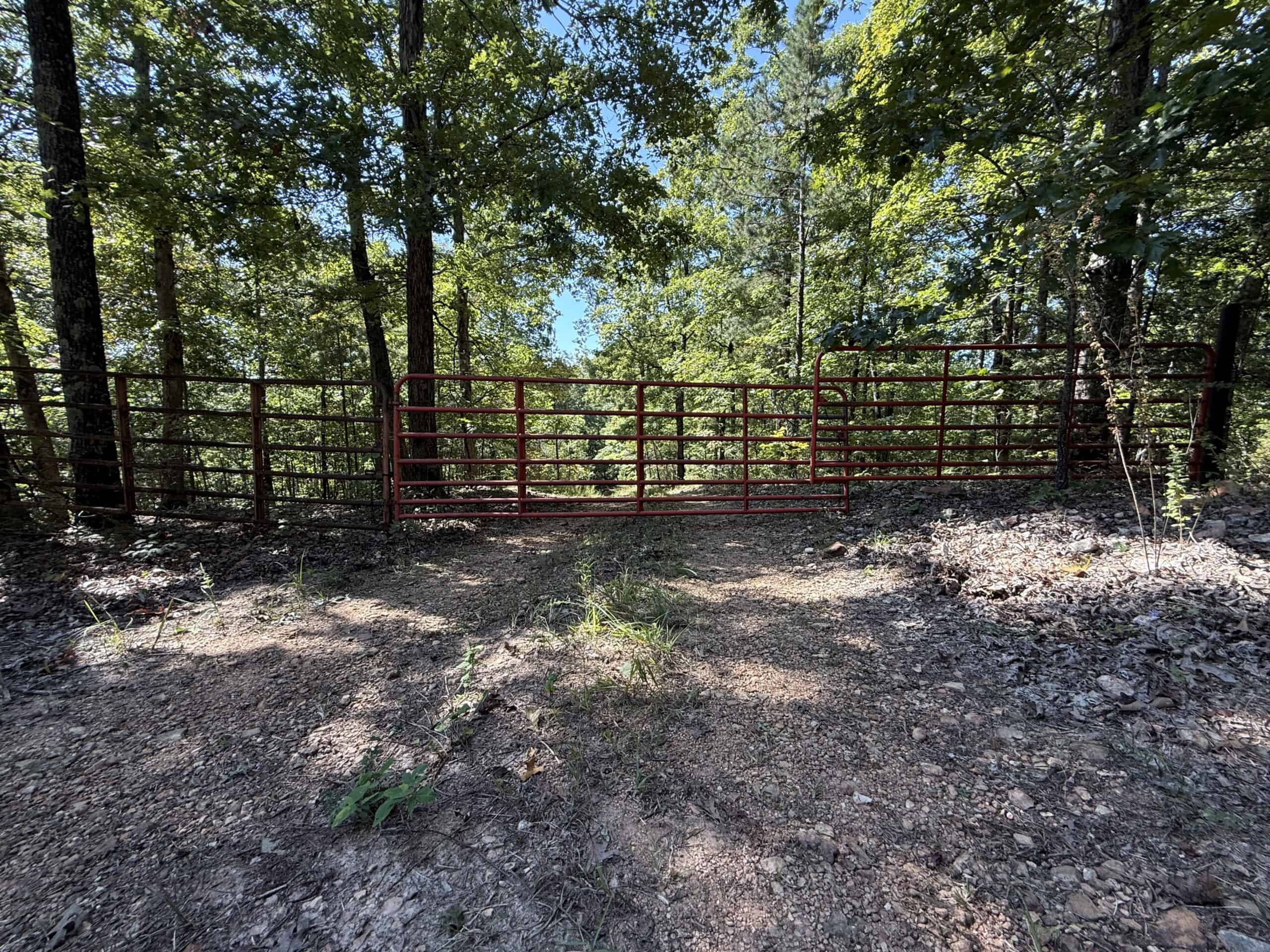 FOREST LAND AND OFF GRID CABIN FOR SALE IN OZARK MOUNTAINS