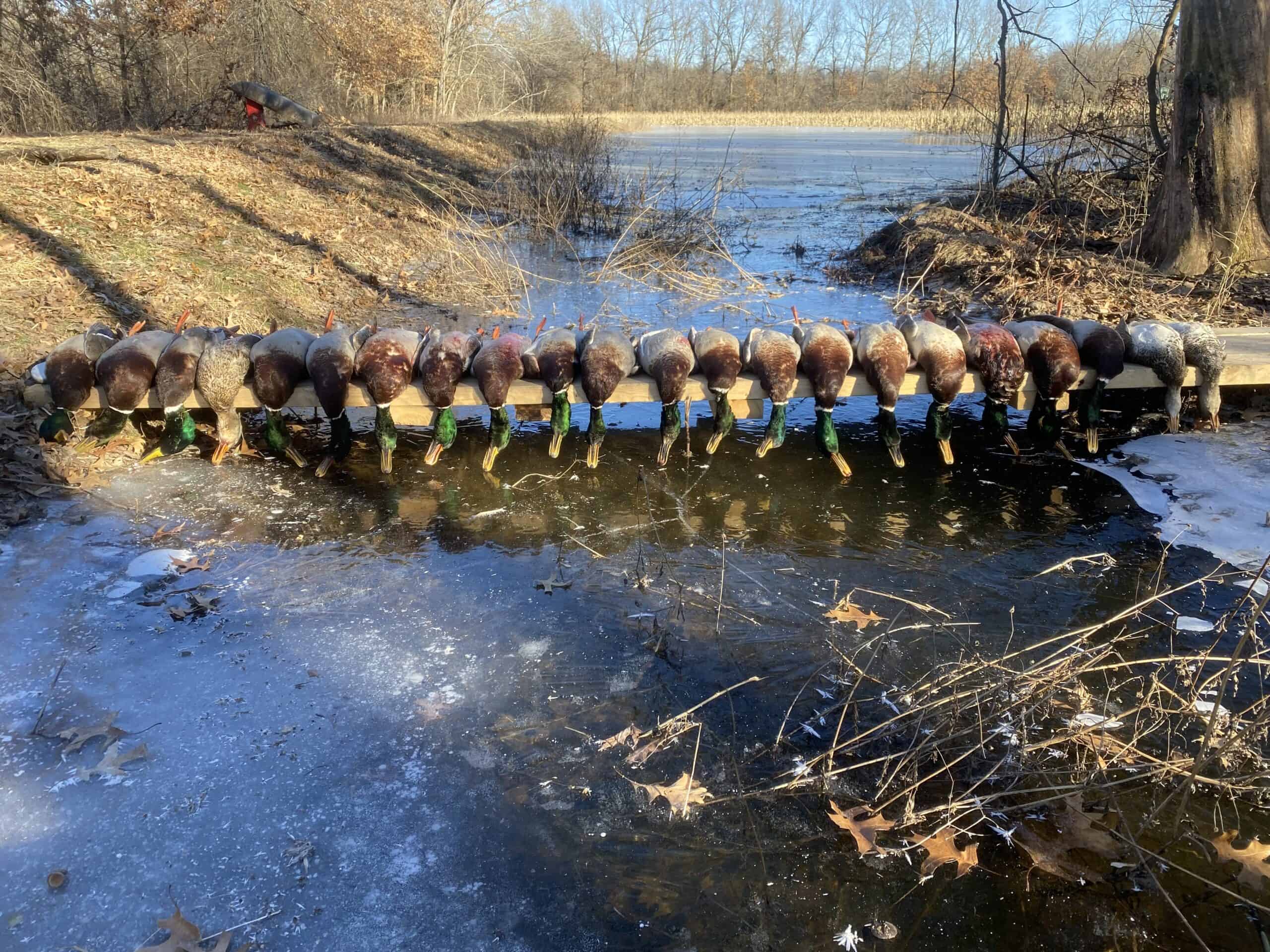 107 Se 40 Th Rd, Lamar, MO, 64759