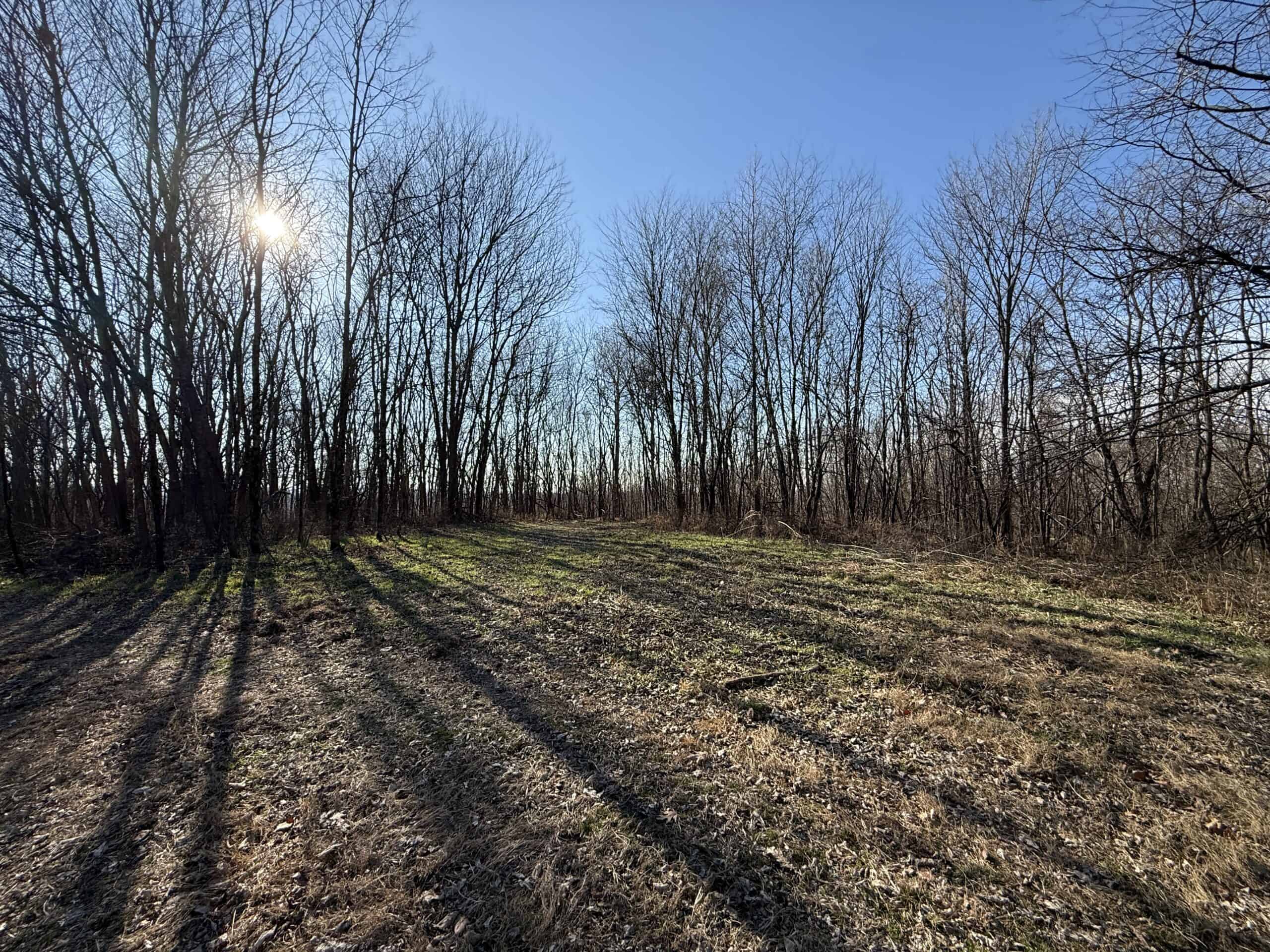 FOREST LAND AND OFF GRID CABIN FOR SALE IN OZARK MOUNTAINS