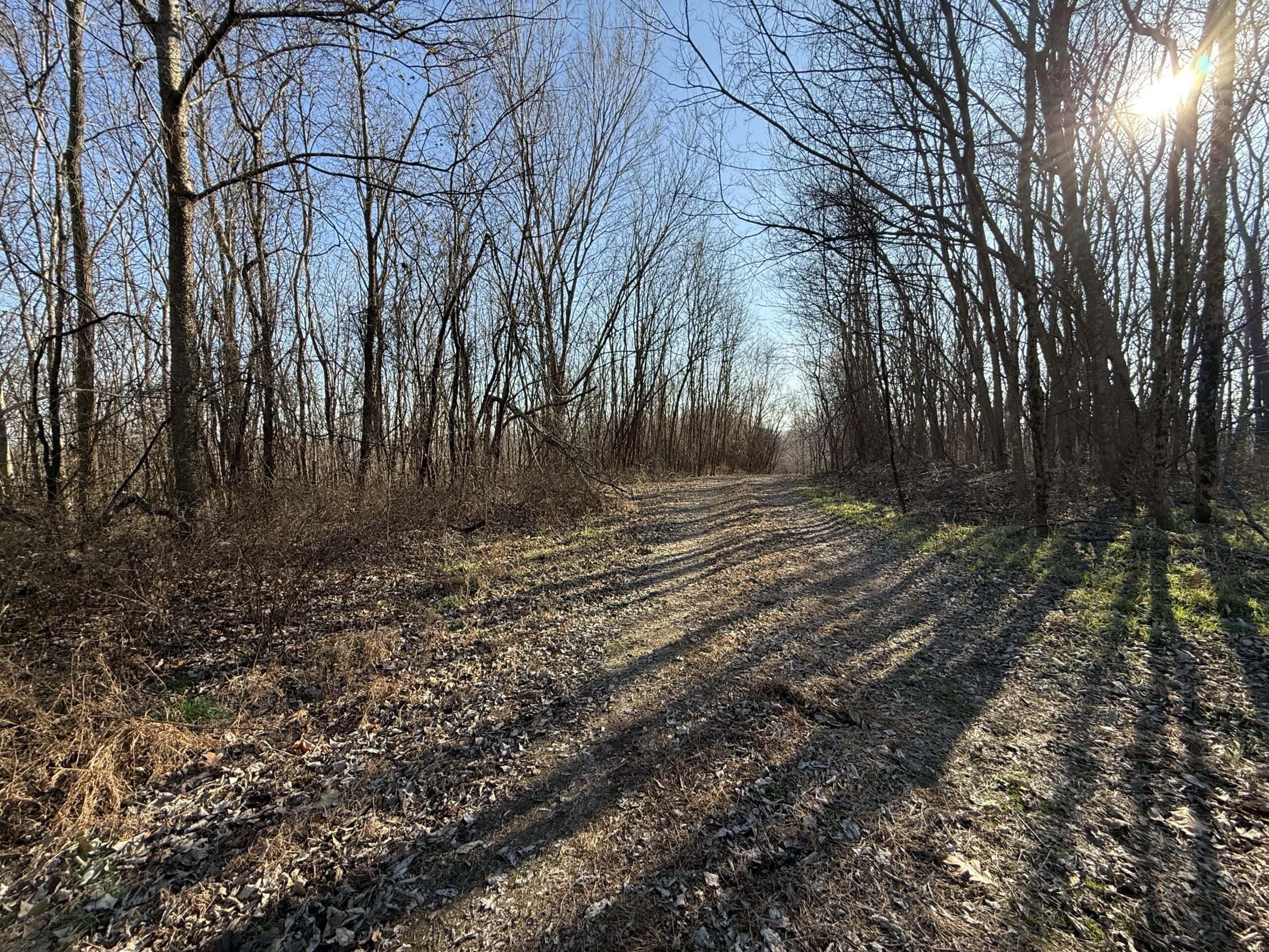 FOREST LAND AND OFF GRID CABIN FOR SALE IN OZARK MOUNTAINS