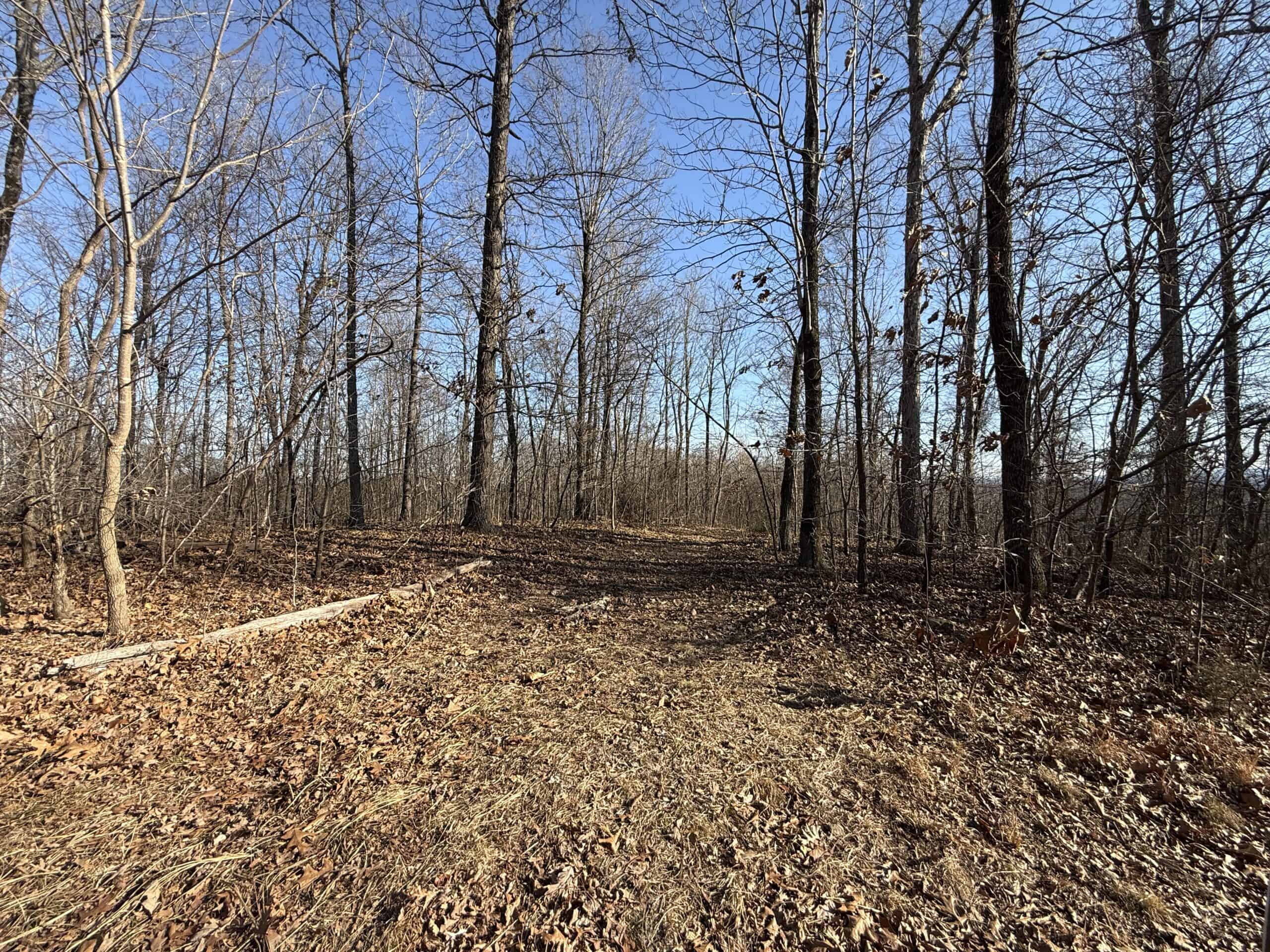 FOREST LAND AND OFF GRID CABIN FOR SALE IN OZARK MOUNTAINS