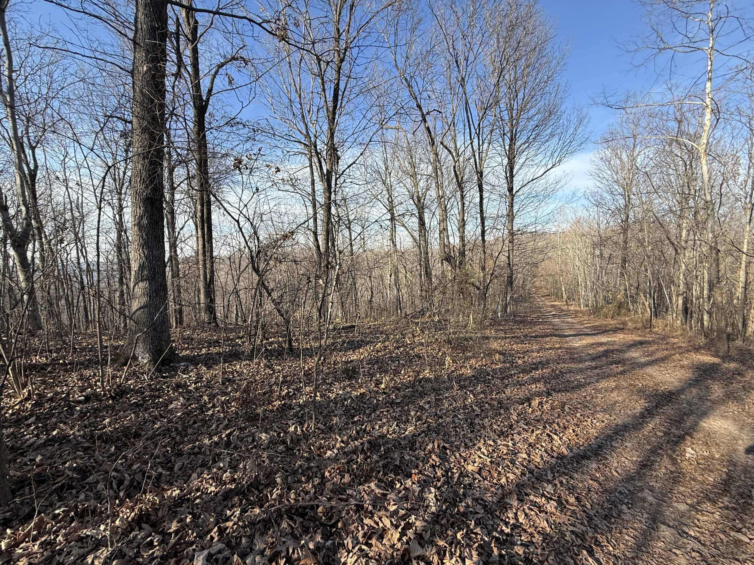 FOREST LAND AND OFF GRID CABIN FOR SALE IN OZARK MOUNTAINS