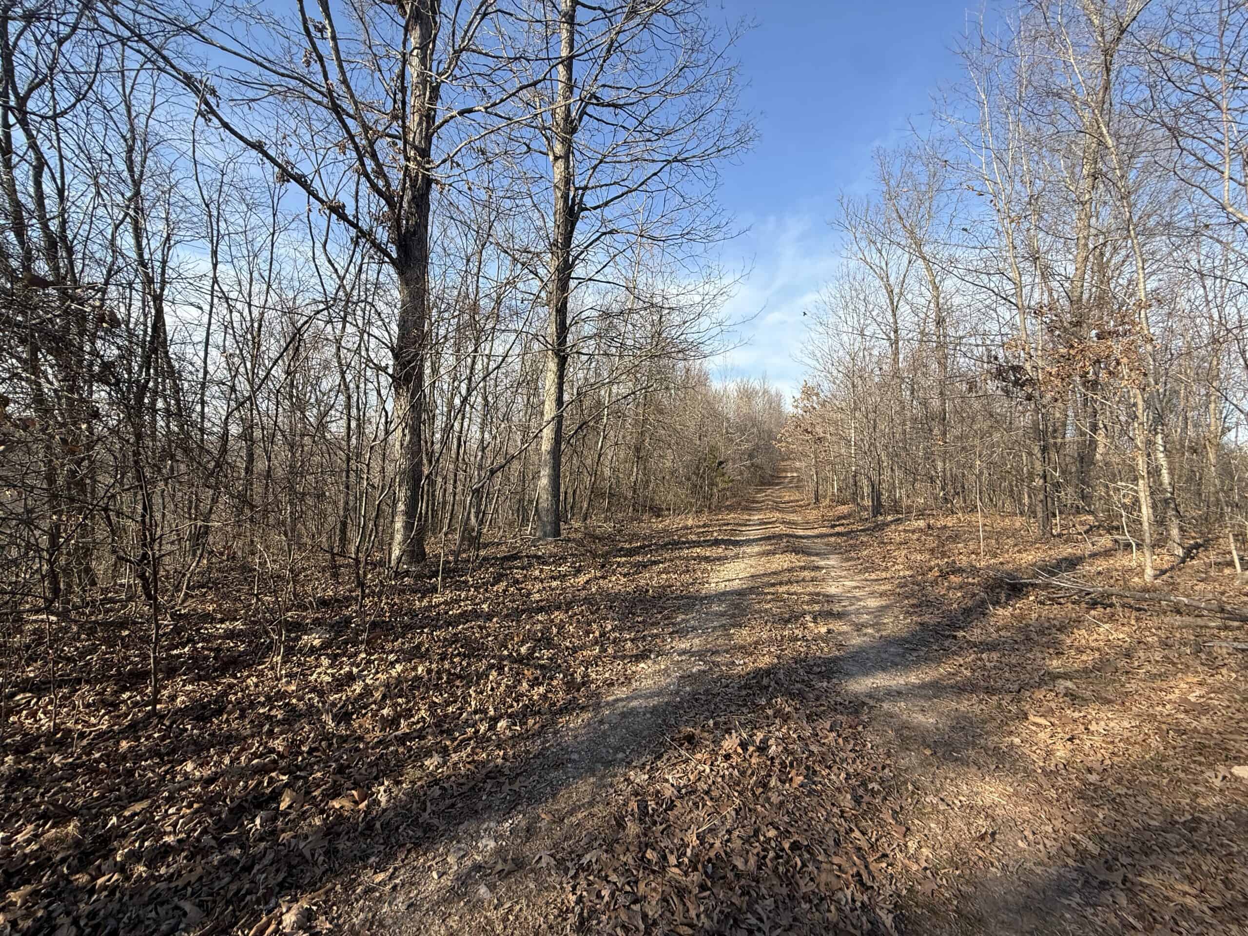 FOREST LAND AND OFF GRID CABIN FOR SALE IN OZARK MOUNTAINS