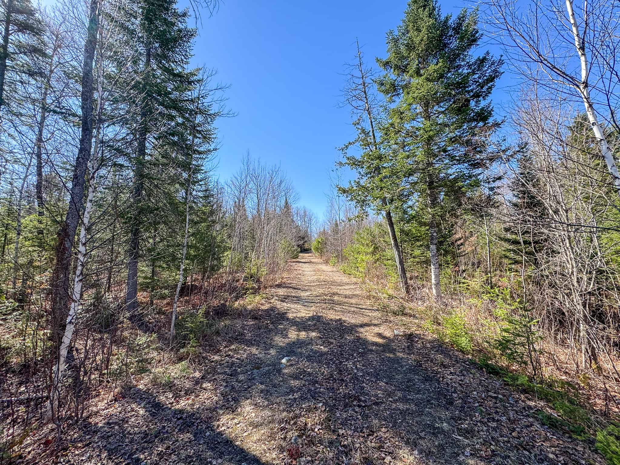 Western Maine Land for Sale – Near Sugarloaf & Outdoor Recreation