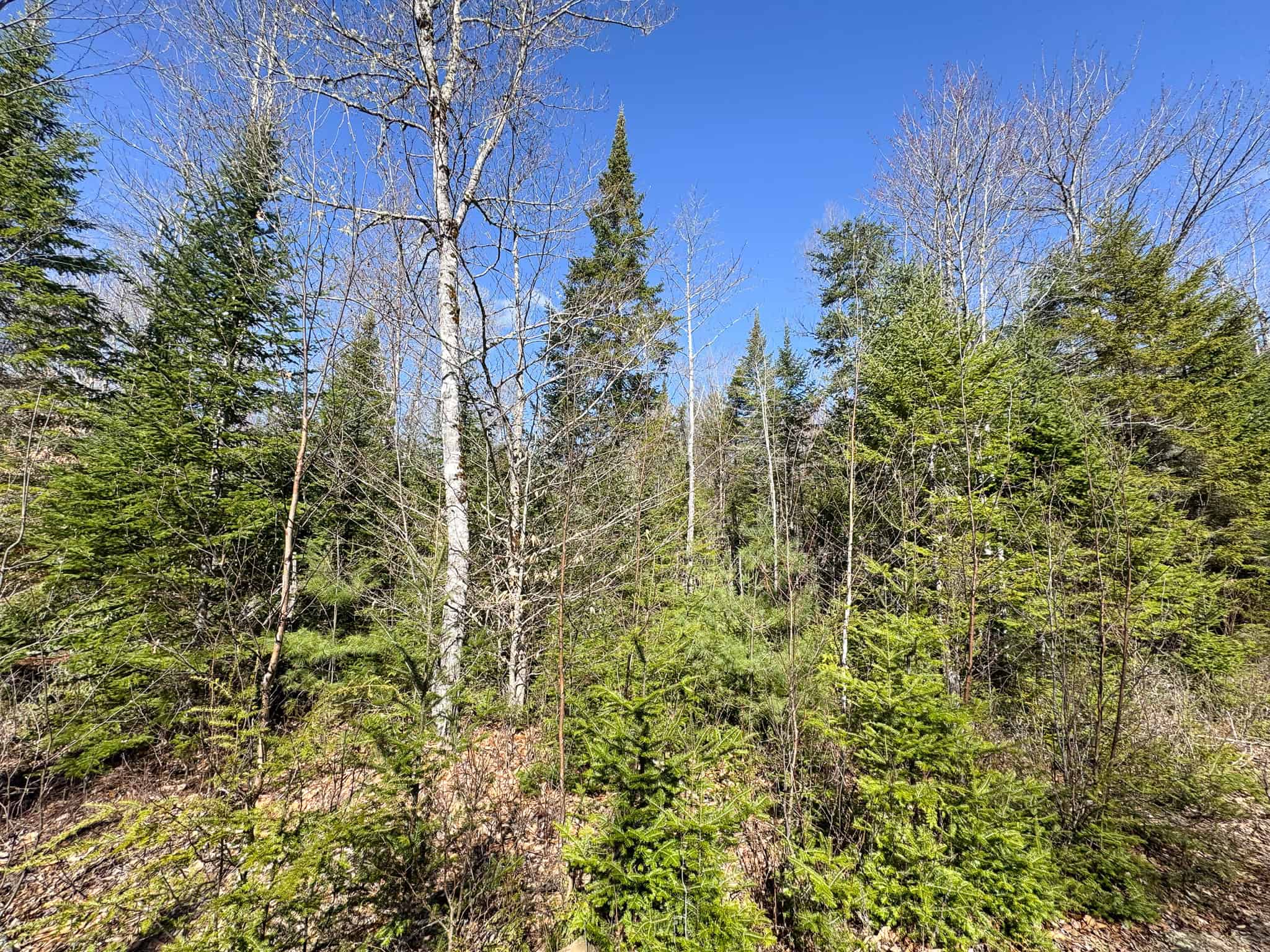 Western Maine Land for Sale – Near Sugarloaf & Outdoor Recreation