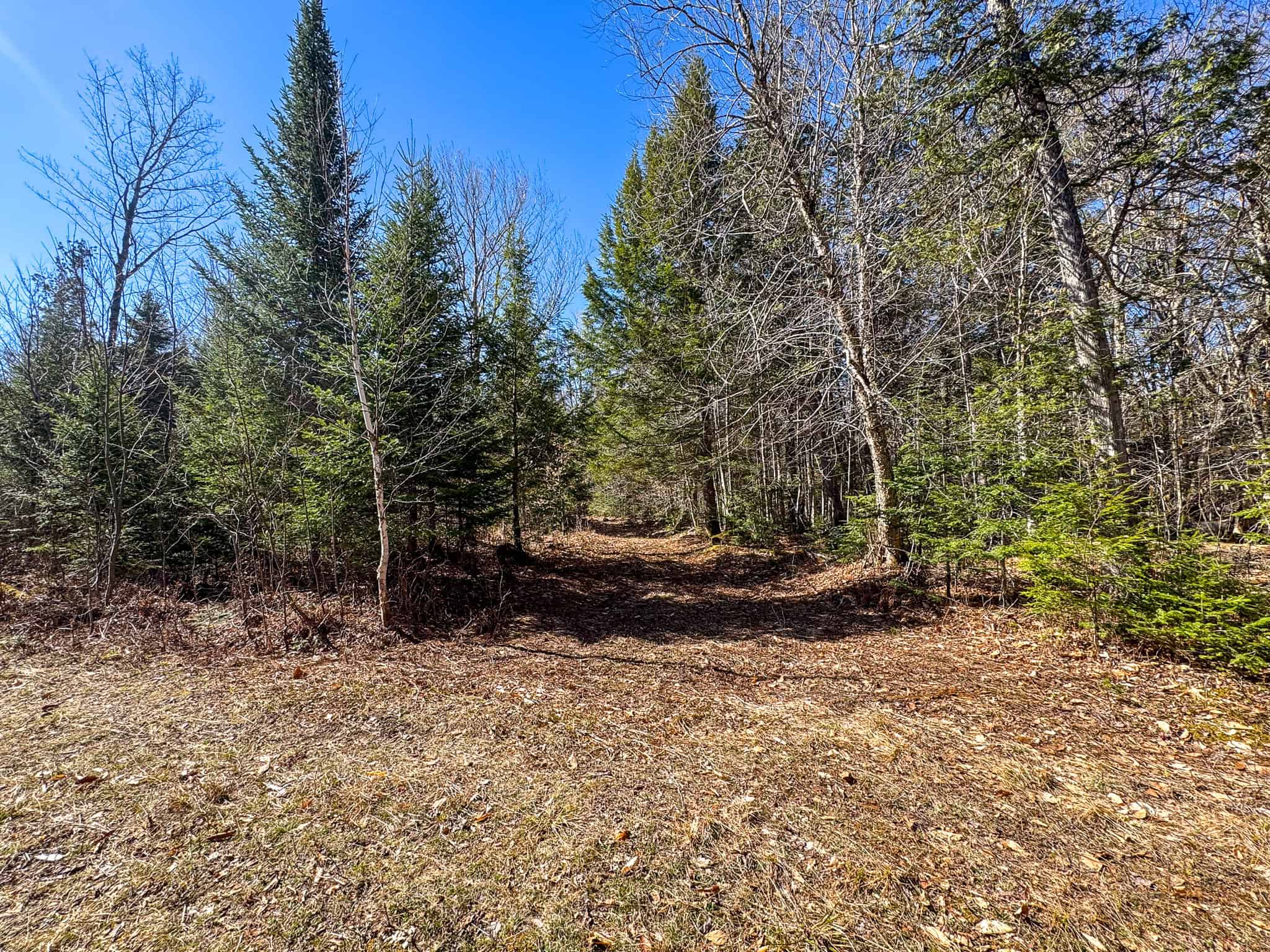 Western Maine Land for Sale – Near Sugarloaf & Outdoor Recreation