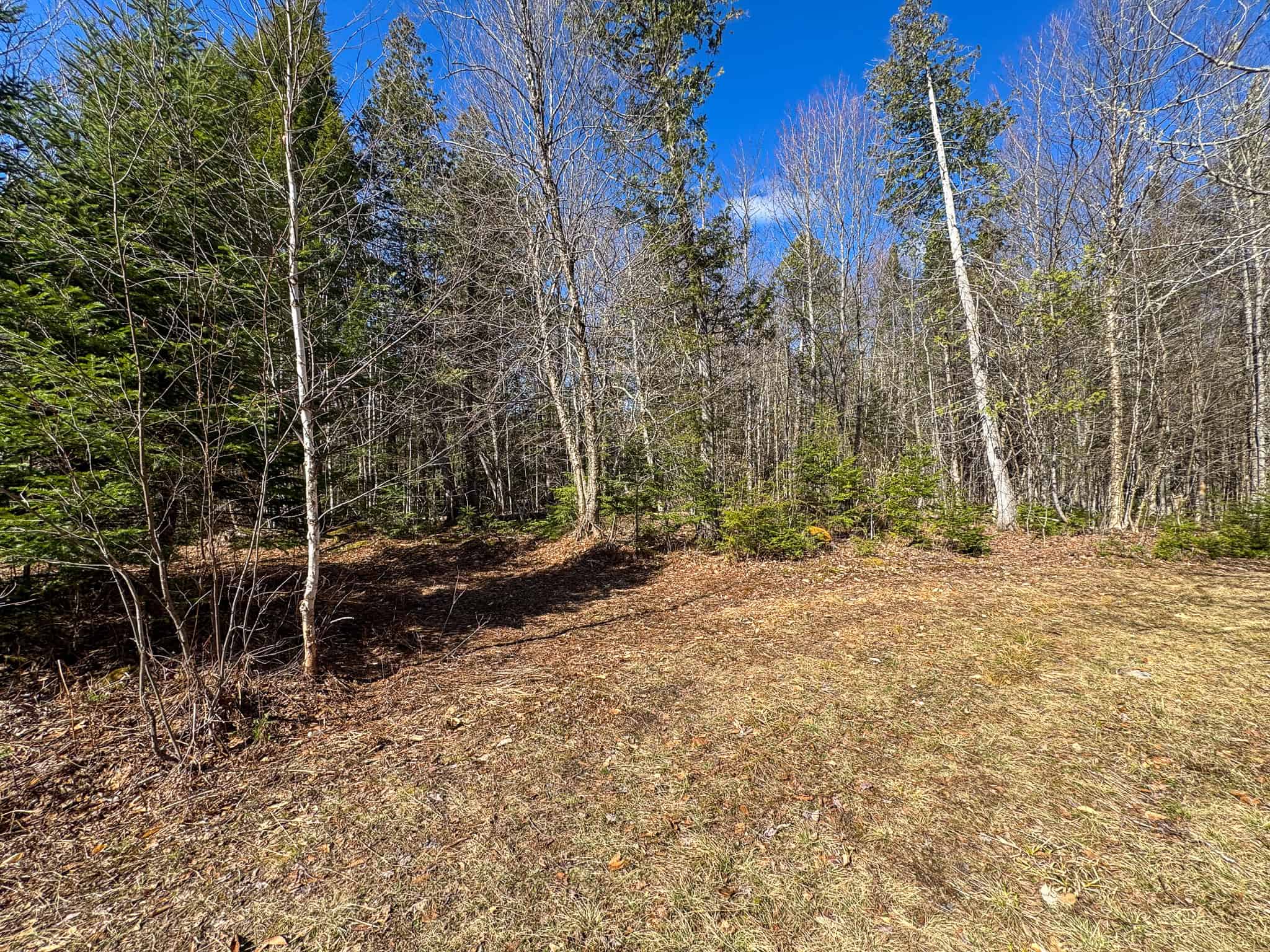 Western Maine Land for Sale – Near Sugarloaf & Outdoor Recreation