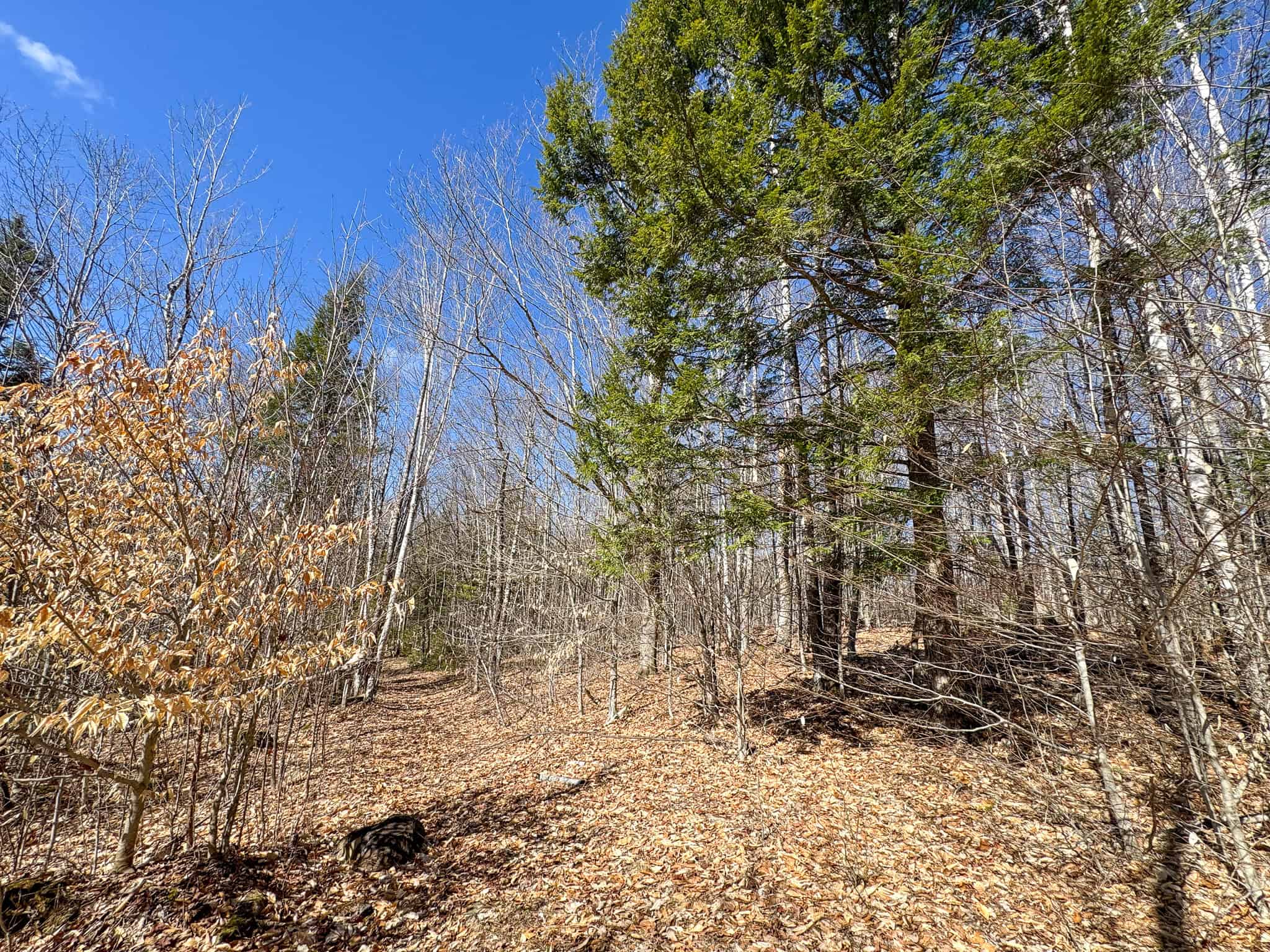 Western Maine Land for Sale – Near Sugarloaf & Outdoor Recreation