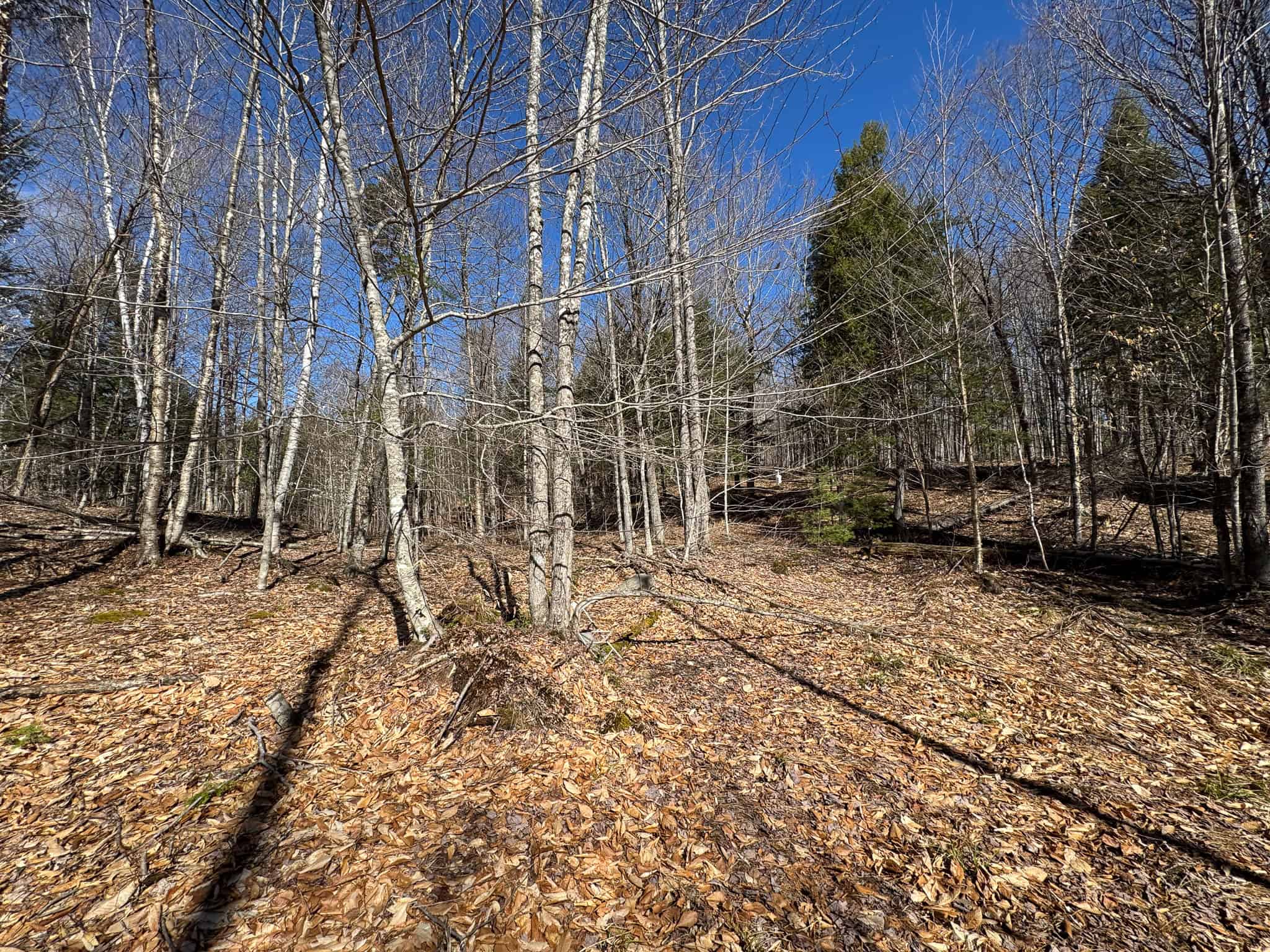 Western Maine Land for Sale – Near Sugarloaf & Outdoor Recreation