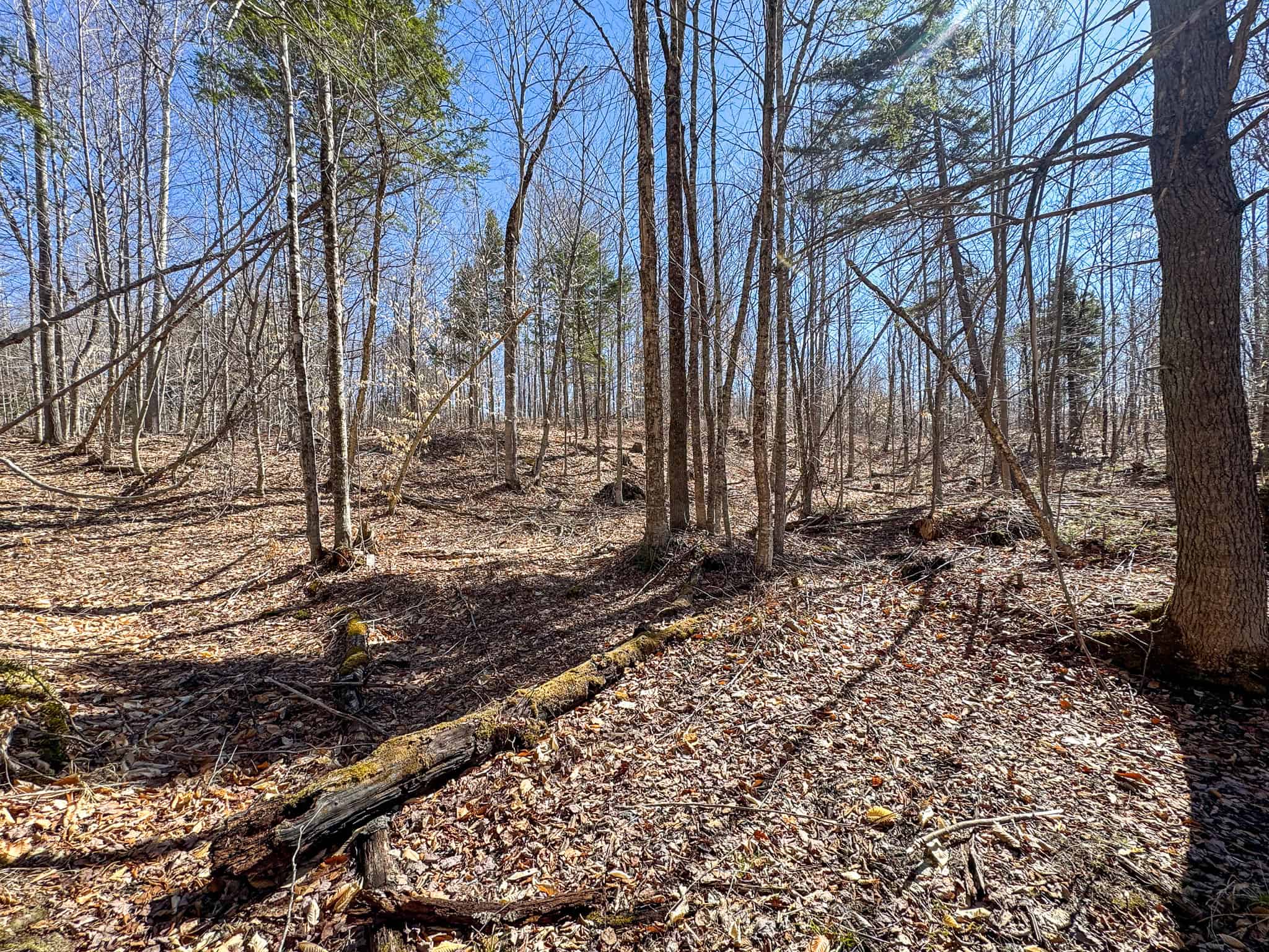 Western Maine Land for Sale – Near Sugarloaf & Outdoor Recreation