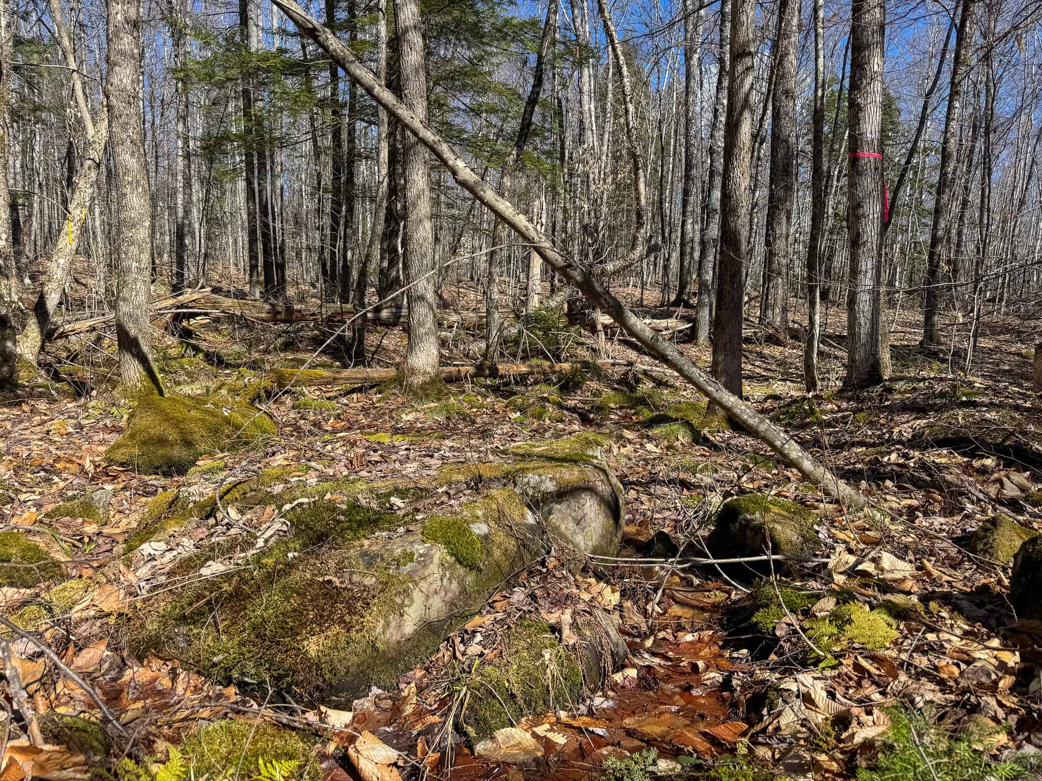 Western Maine Land for Sale – Near Sugarloaf & Outdoor Recreation