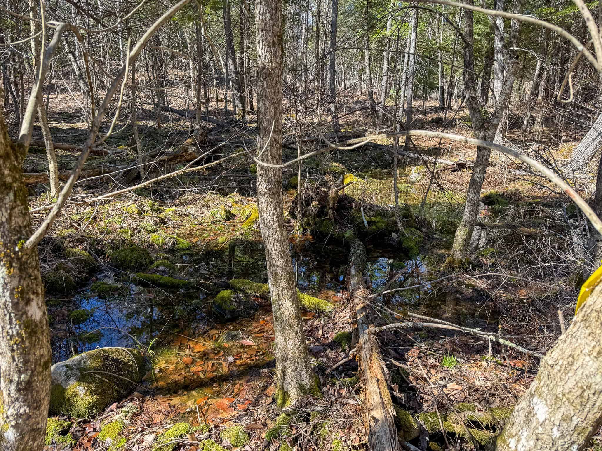 Western Maine Land for Sale – Near Sugarloaf & Outdoor Recreation