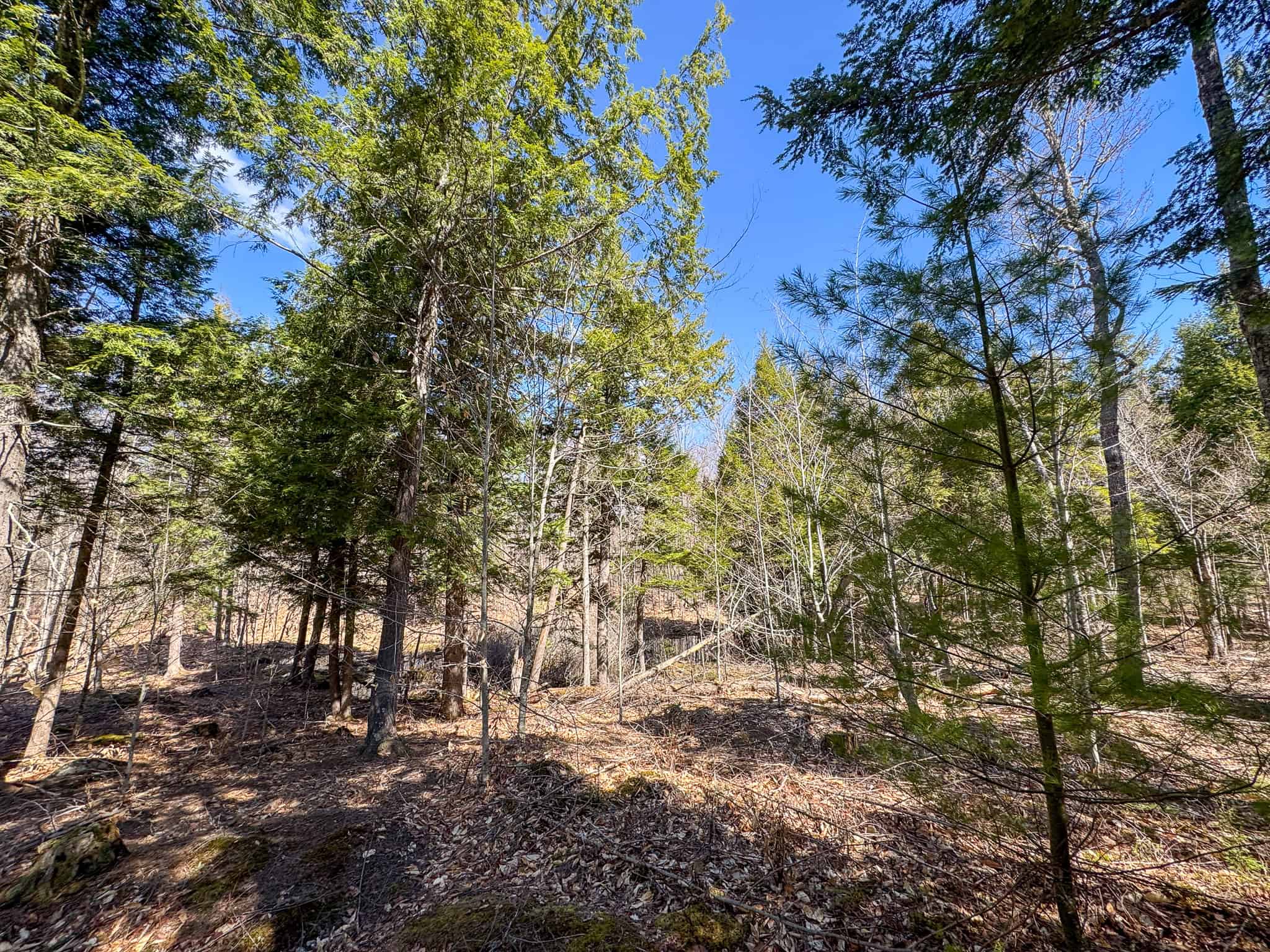 Western Maine Land for Sale – Near Sugarloaf & Outdoor Recreation