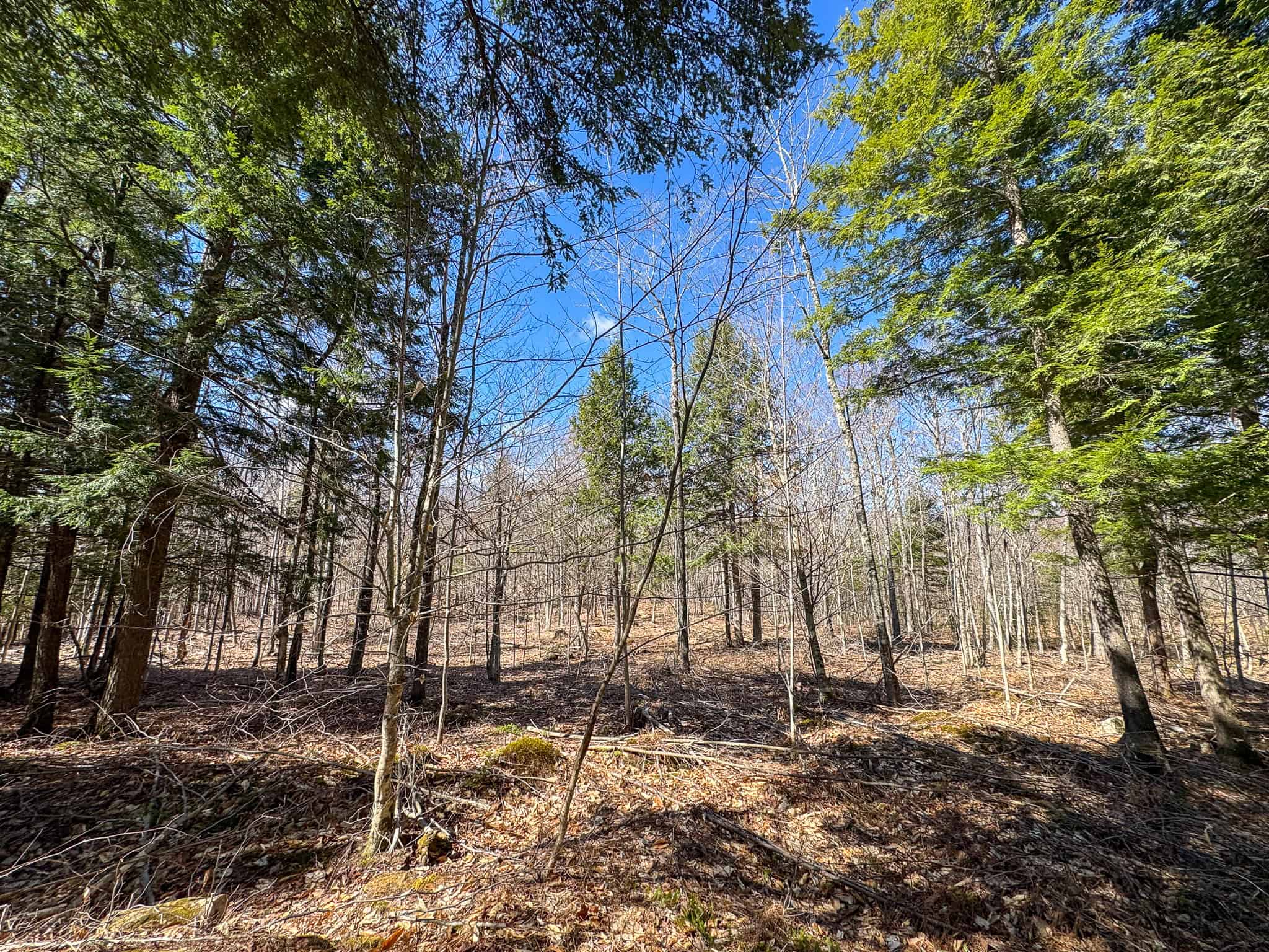 Western Maine Land for Sale – Near Sugarloaf & Outdoor Recreation