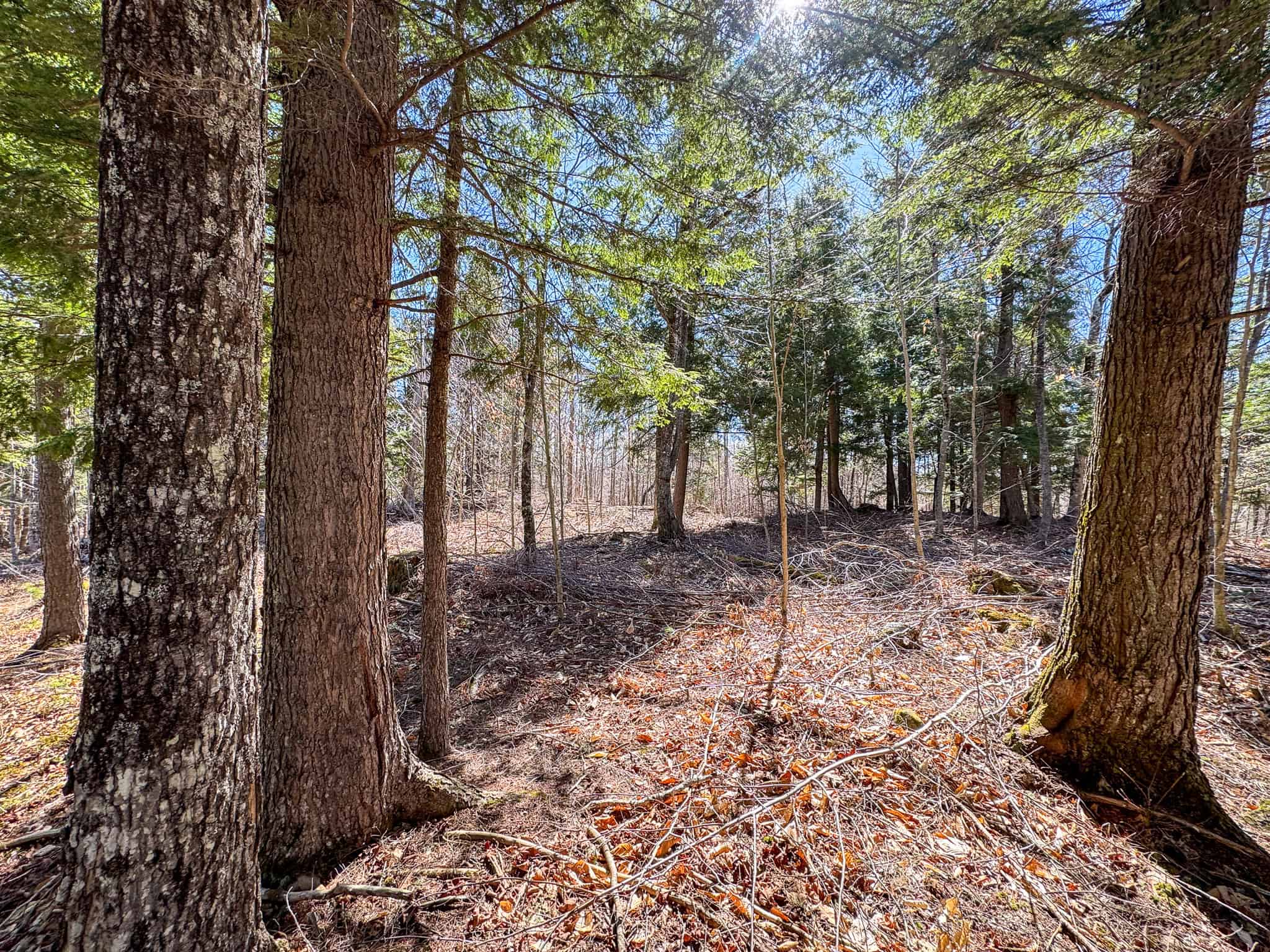 Western Maine Land for Sale – Near Sugarloaf & Outdoor Recreation