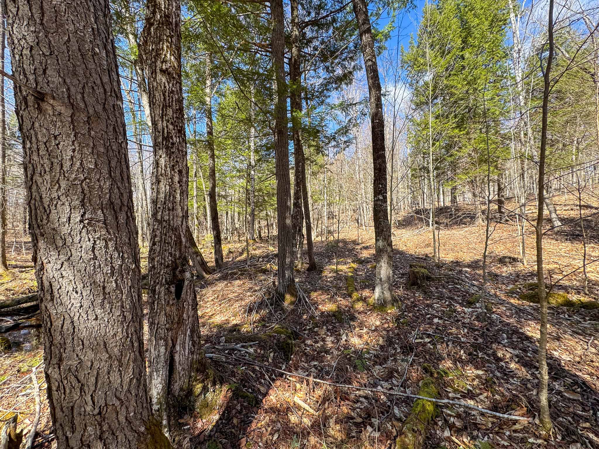 Western Maine Land for Sale – Near Sugarloaf & Outdoor Recreation