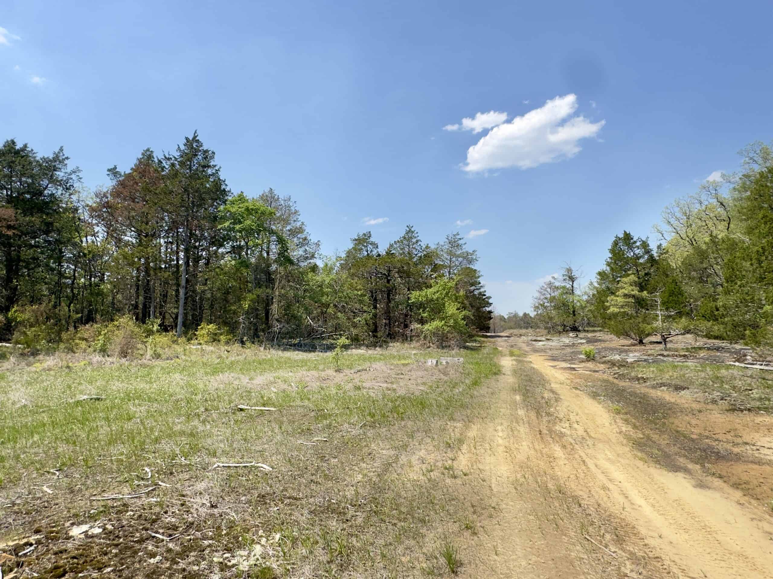 ARKANSAS BUILDING, HUNTING, AND RECREATIONAL LAND FOR SALE
