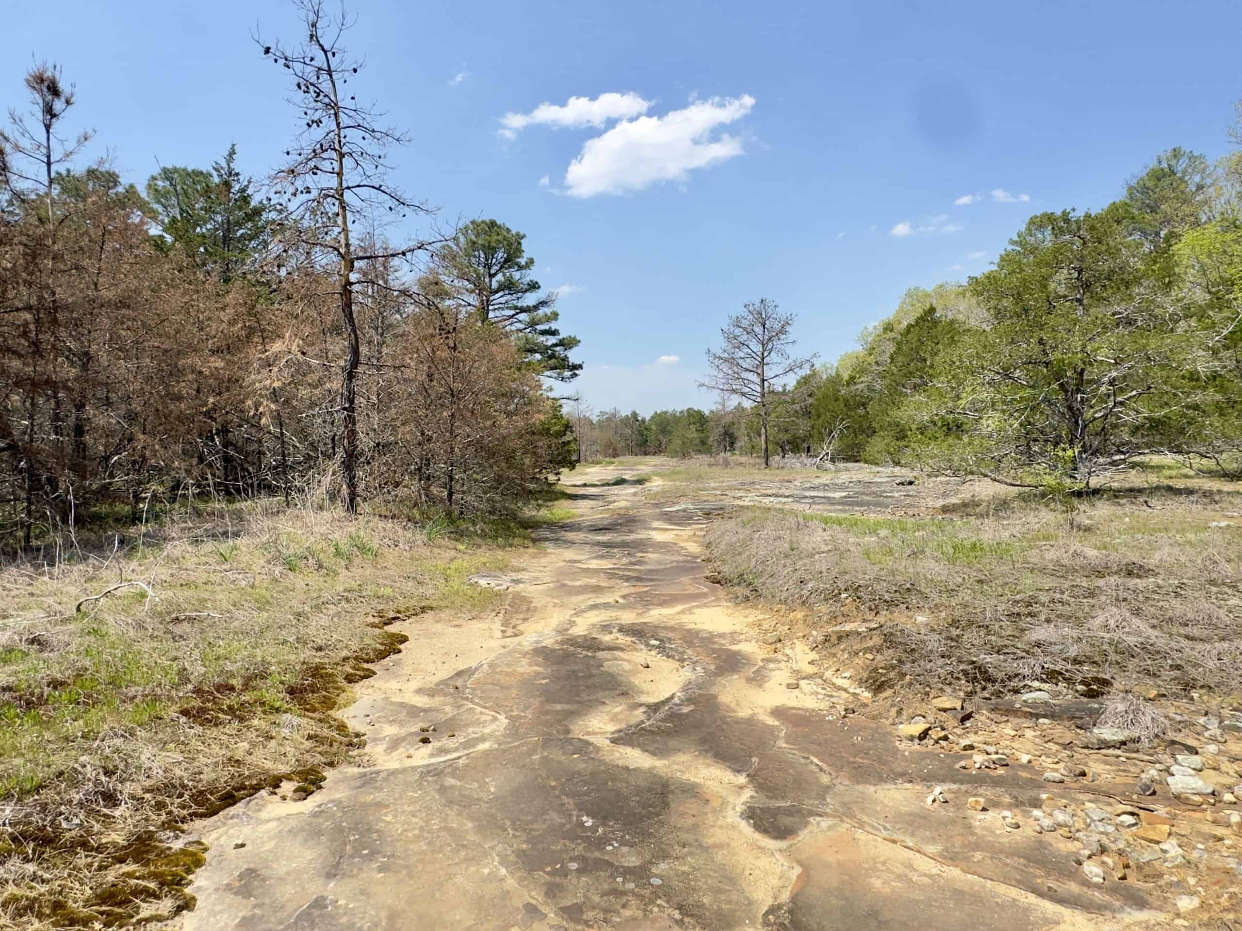 ARKANSAS BUILDING, HUNTING, AND RECREATIONAL LAND FOR SALE