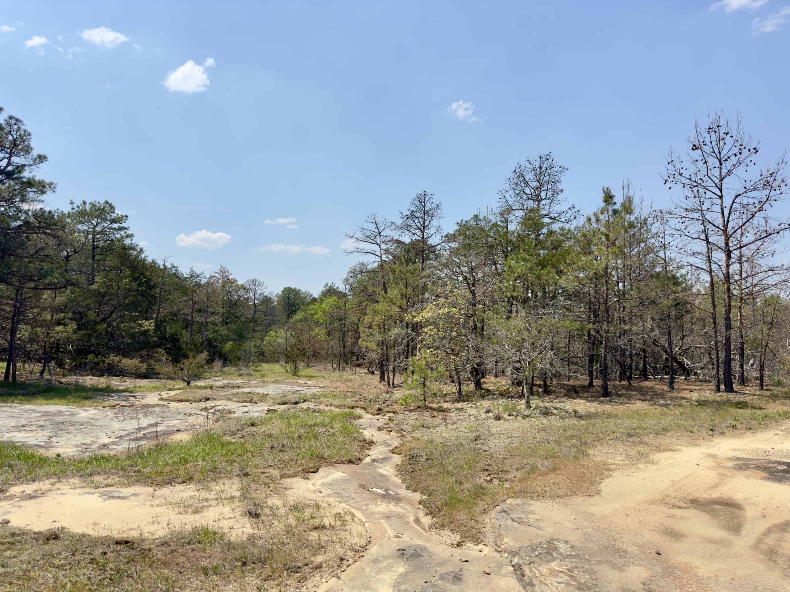 ARKANSAS BUILDING, HUNTING, AND RECREATIONAL LAND FOR SALE