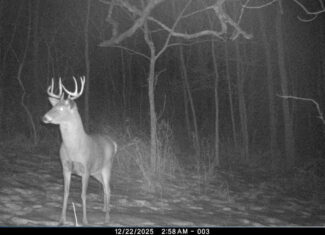 SW Wisconsin Country Home, 30.53 Wooded Acres (Driftless Region)