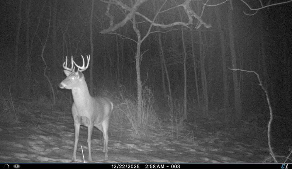 SW Wisconsin Country Home, 30.53 Wooded Acres (Driftless Region)