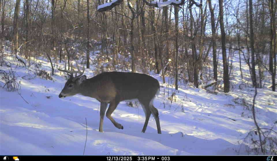 SW Wisconsin Country Home, 30.53 Wooded Acres (Driftless Region)