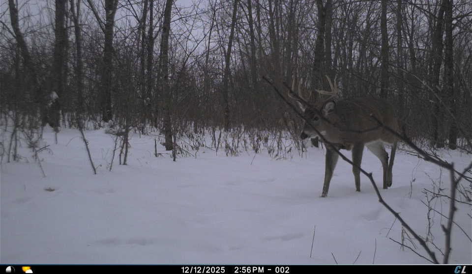 SW Wisconsin Country Home, 30.53 Wooded Acres (Driftless Region)