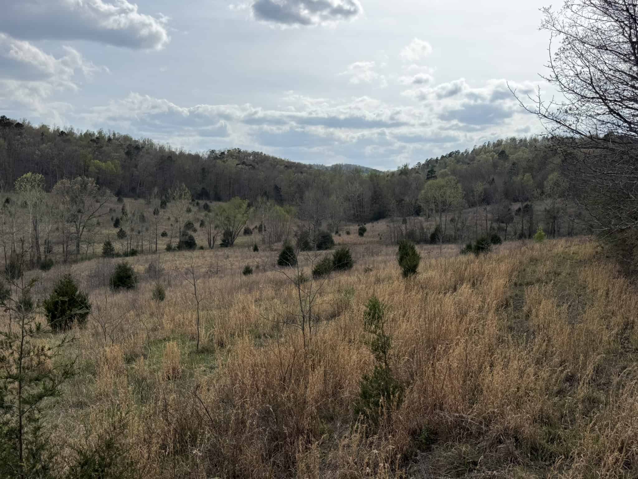 HUNTING LAND IN THE OZARK MOUNTAINS