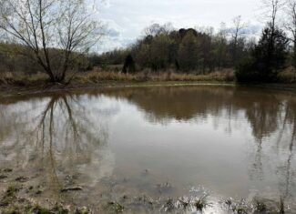 HUNTING LAND IN THE OZARK MOUNTAINS
