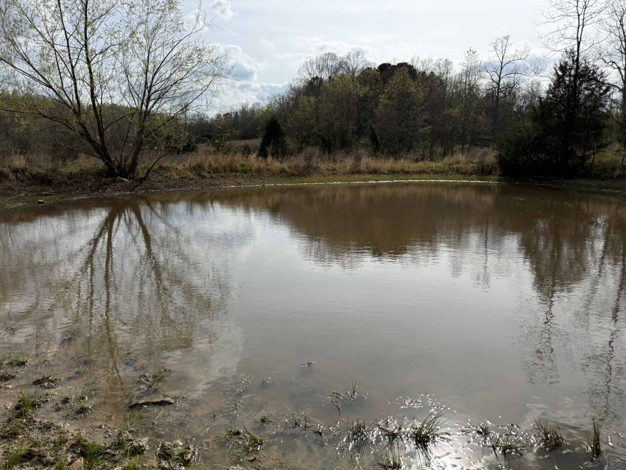 HUNTING LAND IN THE OZARK MOUNTAINS