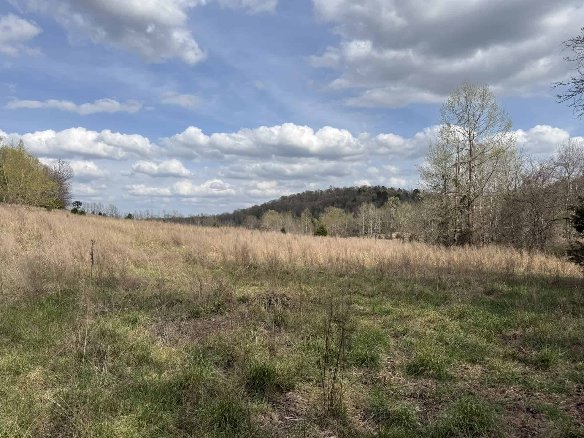 HUNTING LAND IN THE OZARK MOUNTAINS
